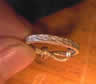 knotted ring